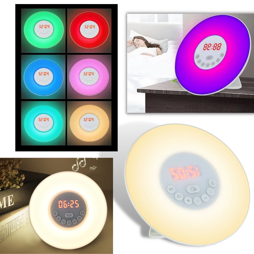 16228579 16228579